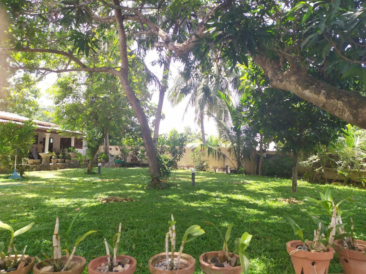 Cinnamon House Hiriketiya Dikwella Sur Exterior foto
