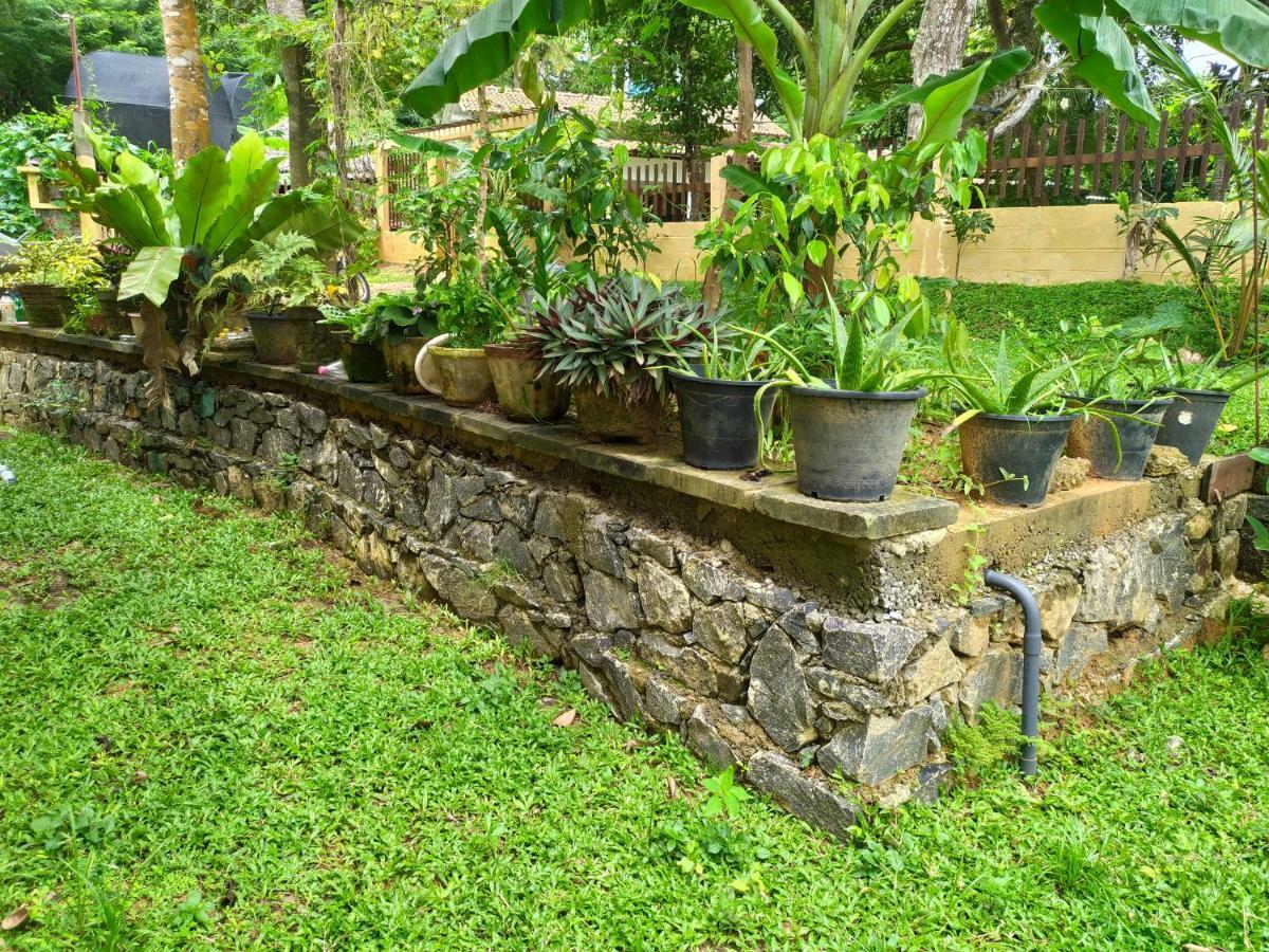 Cinnamon House Hiriketiya Dikwella Sur Exterior foto
